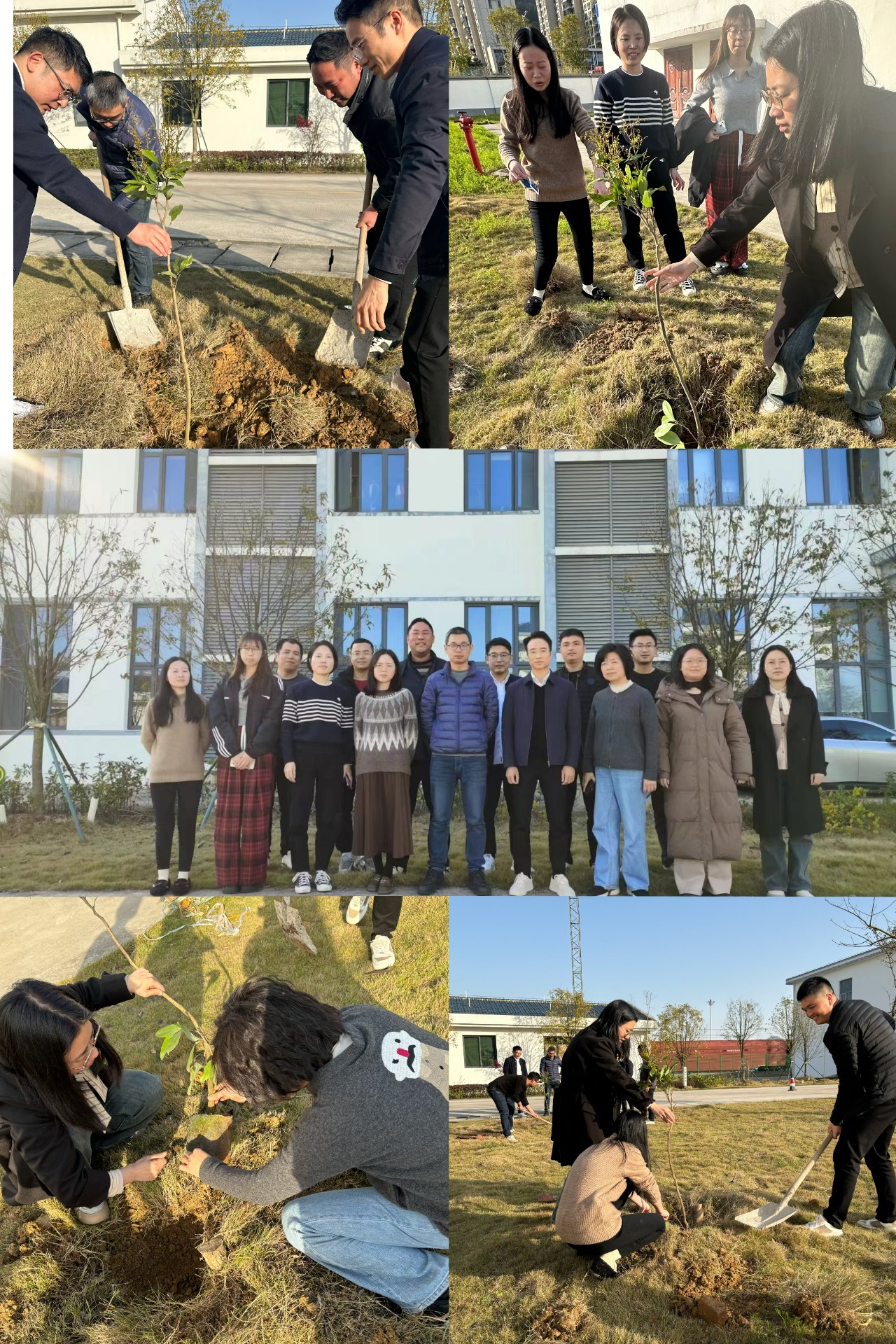 2024-3-12綠色陸港，美麗寧德，阮克妙拍攝.jpg