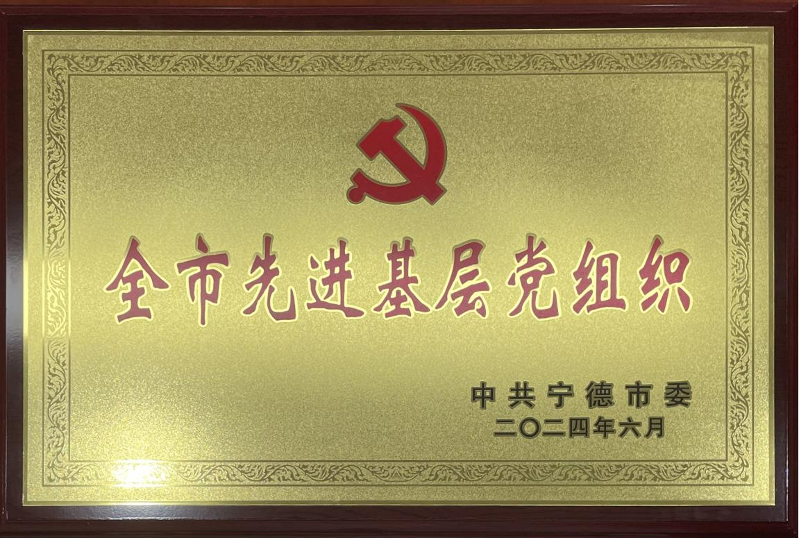 全市先進(jìn)基層黨組織.png